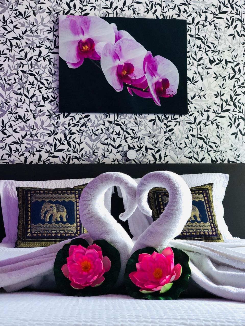 B&B Kookhai Kluisbergen Luaran gambar